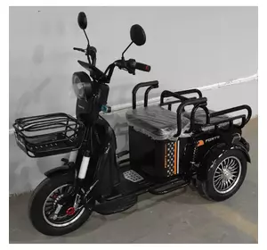 Електротрайк Електроскутер триколісний FORTE СARGO 800W ДВА МІСЦЯ Електротрайк Електроскутер триколісний FORTE СARGO 800W ДВА МІСЦЯ