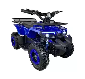 Дитячий електроквадроцикл FORTE ATV1000RB Дитячий електроквадроцикл FORTE ATV1000RB