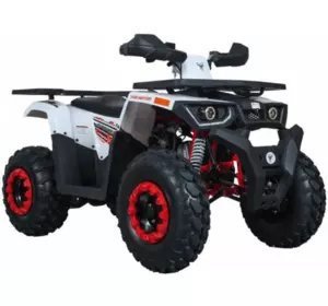 Квадроцикл FORTE BRAVES 200 Білий Квадроцикл FORTE BRAVES 200 Білий