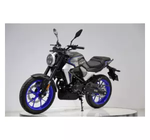 Мотоцикл Forte FT 250CKP Форте Чорно-синій Мотоцикл Forte FT 250CKP Форте Чорно-синій