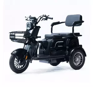 Електроскутер триколісний FORTE Family-P1000 Електроскутер триколісний FORTE Family-P1000
