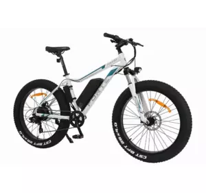 Електровелосипед Forte Rapid 500 Вт 48В/12А·год рама 18" колеса 26" Білий Електровелосипед Forte Rapid 500 Вт 48В/12А·год рама 18" колеса 26" Білий