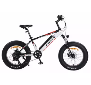 Електровелосипед FORTE RIDER 350 Вт 48В/12Ач рама 14" колеса 20" KENDA Біло-чорний Електровелосипед FORTE RIDER 350 Вт 48В/12Ач рама 14" колеса 20" KENDA Біло-чорний