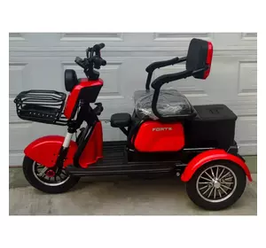 Електротрайк Електроскутер триколісний FORTE FAMILY MAX 800W Електротрайк Електроскутер триколісний FORTE FAMILY MAX 800W