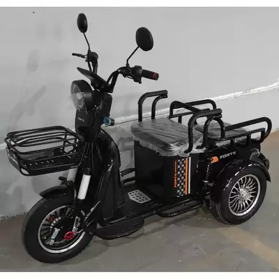 Електротрайк Електроскутер триколісний FORTE СARGO 800W ДВА МІСЦЯ