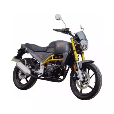 Дорожній мотоцикл FORTE FT300-CXC Сірий
