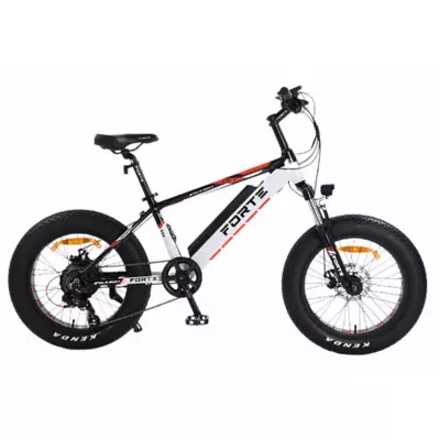 Електровелосипед FORTE RIDER 350 Вт 48В/12Ач рама 14" колеса 20" KENDA Біло-чорний