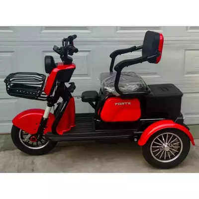 Електротрайк Електроскутер триколісний FORTE FAMILY MAX 800W